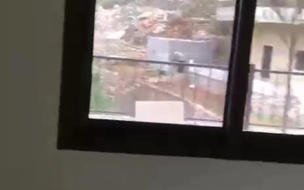 Azonie in Aley - Aley
