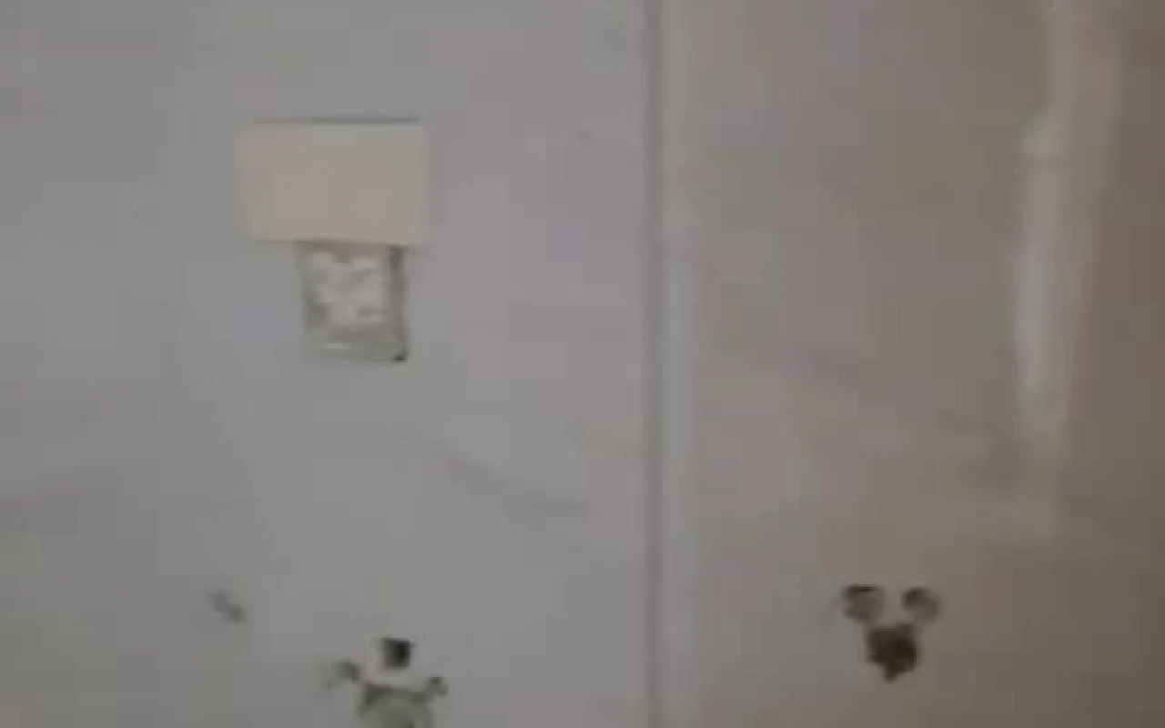 Apartment for sale in Rawshe in Raouche - Beirut